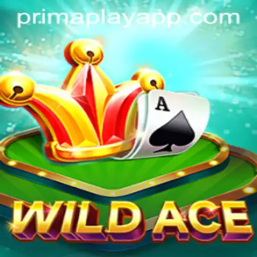 Exploring WildAce: A New Era in Gaming with Prima Play